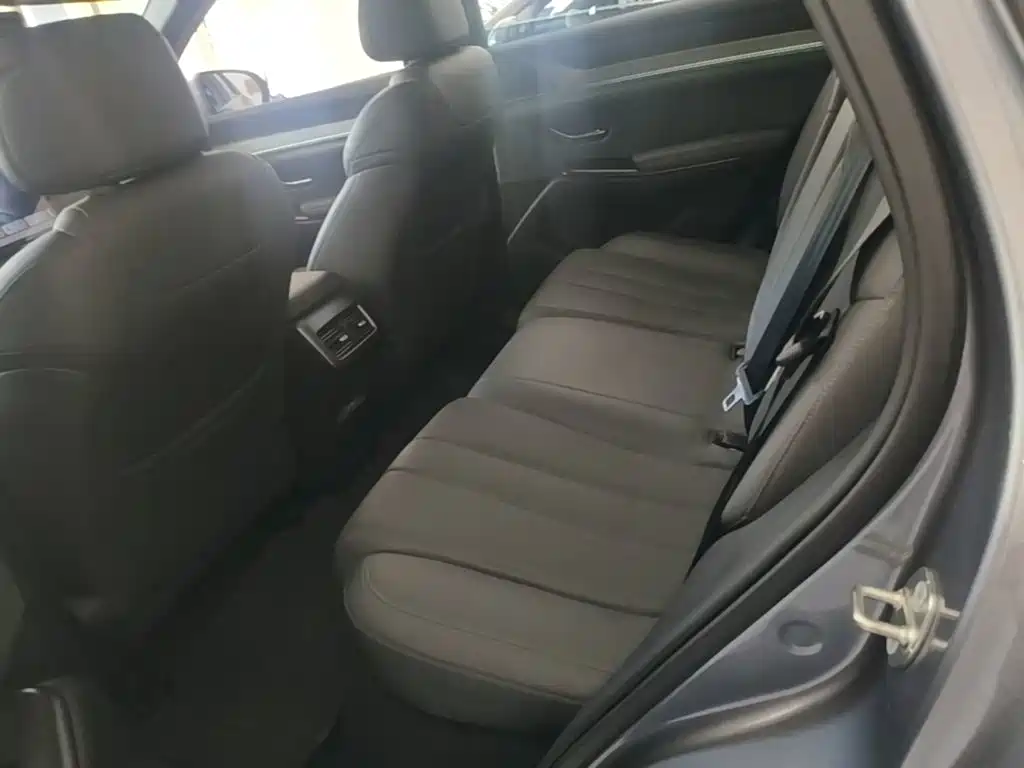 BYD Song Pro New Energy 2025 — фото 17