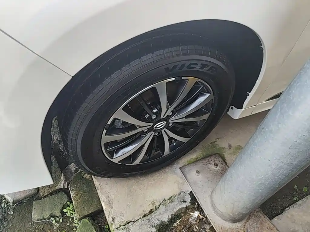 GAC Trumpchi M8 2025 — фото 23