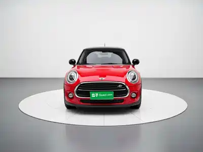 MINI MINI 2020