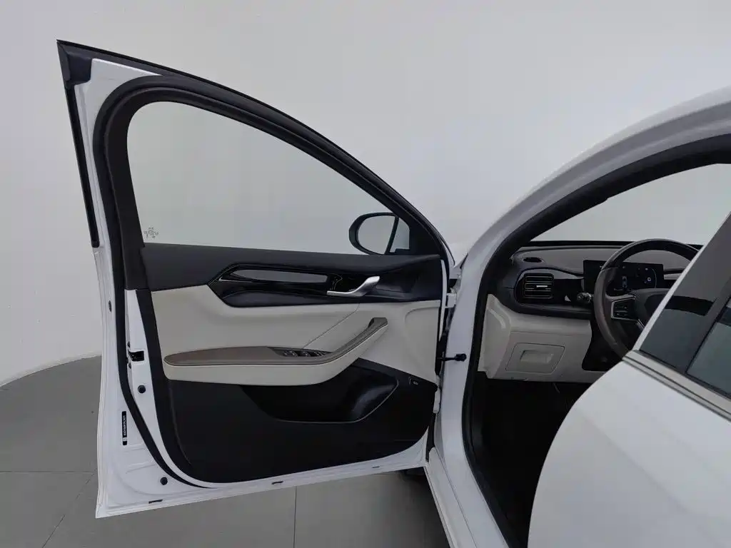 BYD Qin PLUS 2023 — фото 8