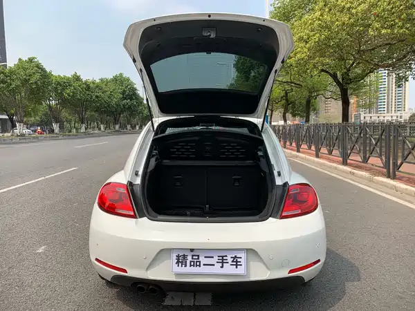 Volkswagen Beetle 2014