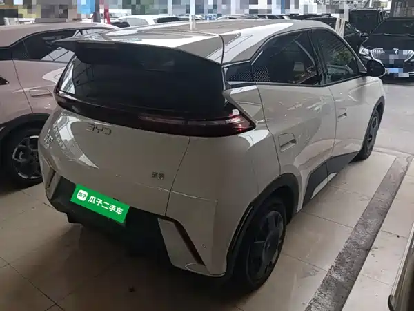 BYD Seagull 2024