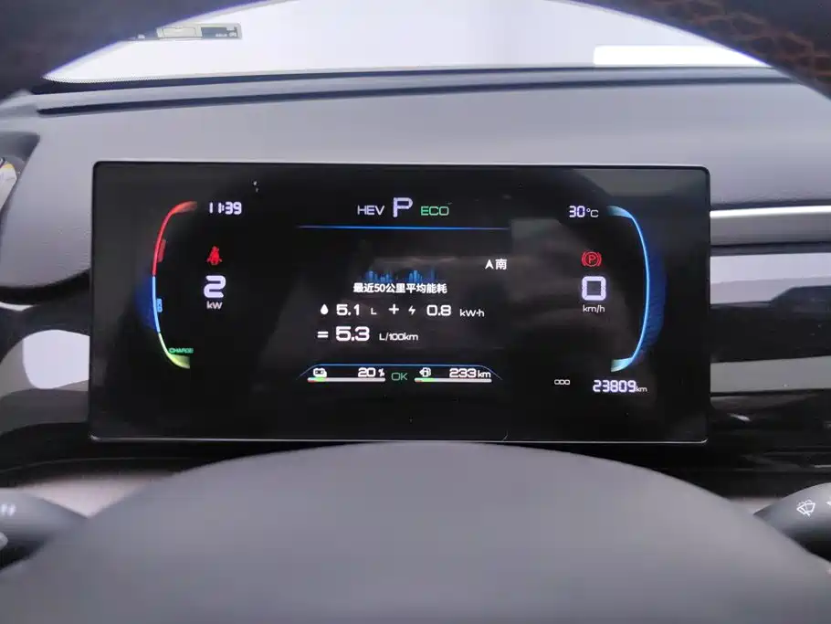 BYD Song Pro New Energy 2024 — фото 14