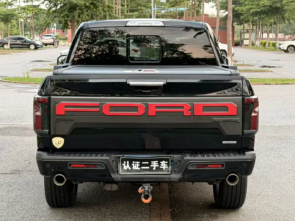 Ford F-150 Raptor 2020 — фото 4