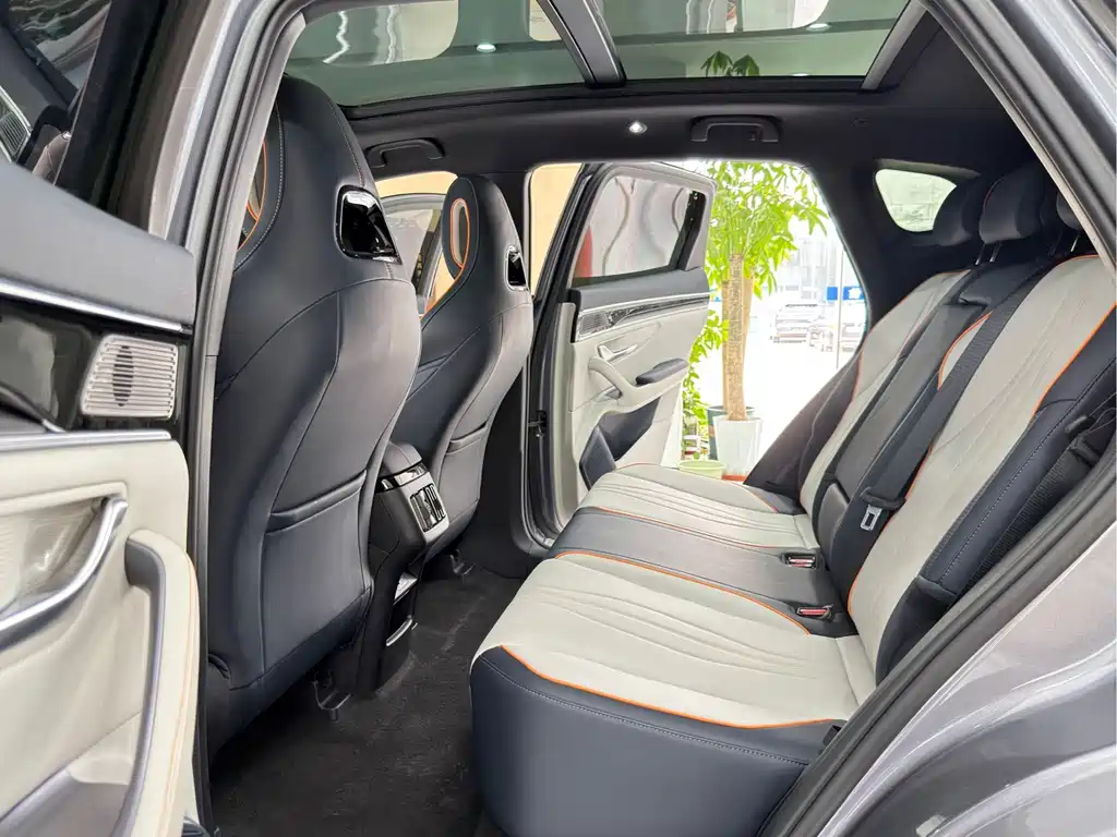 BYD Song PLUS New Energy 2024 — фото 11