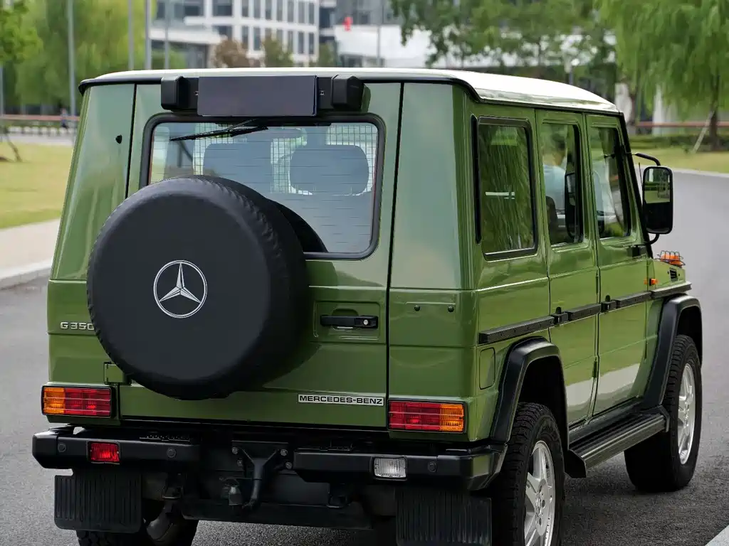 Mercedes-Benz G-Class 2017 — фото 5