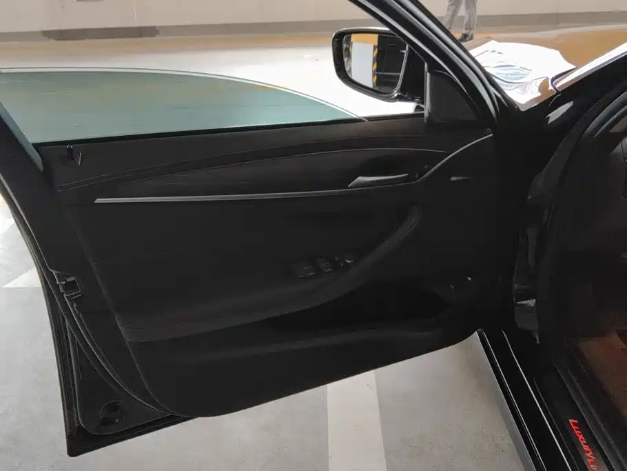 BMW 5 Series New Energy 2021
