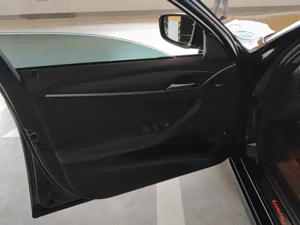 BMW 5 Series New Energy 2021