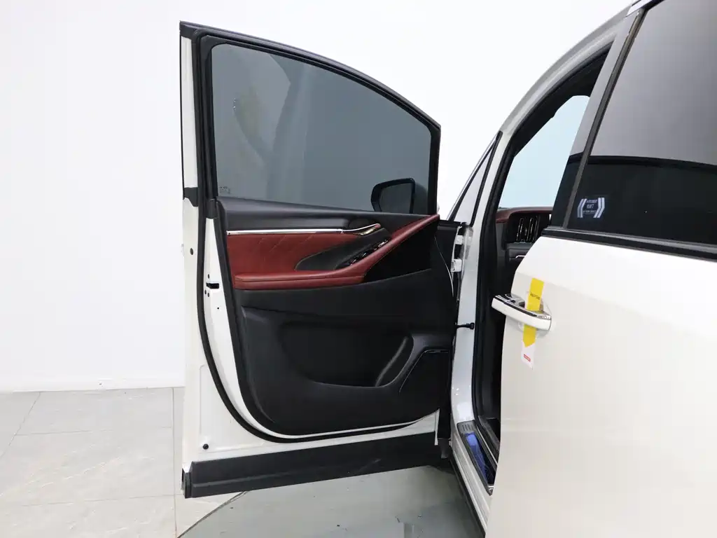GAC Motor Trumpchi M8 2024 — фото 12