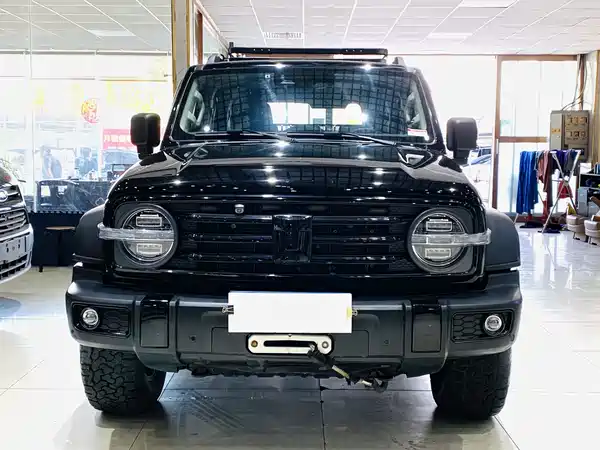 Tank 300 2021