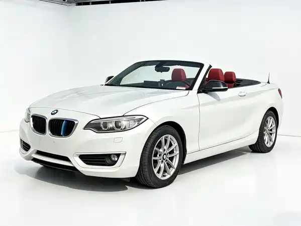BMW 2 Series 2017