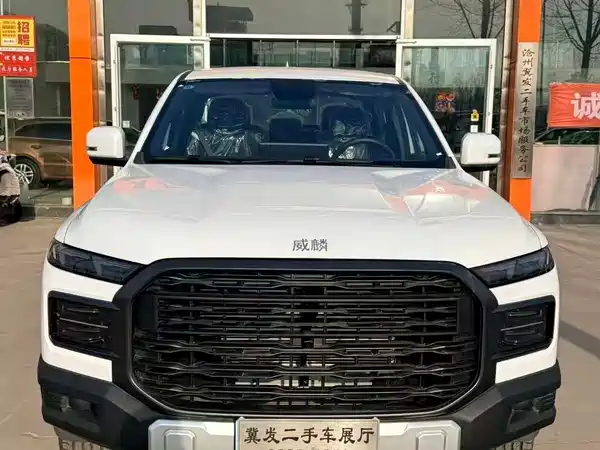 Weilin R08 2025