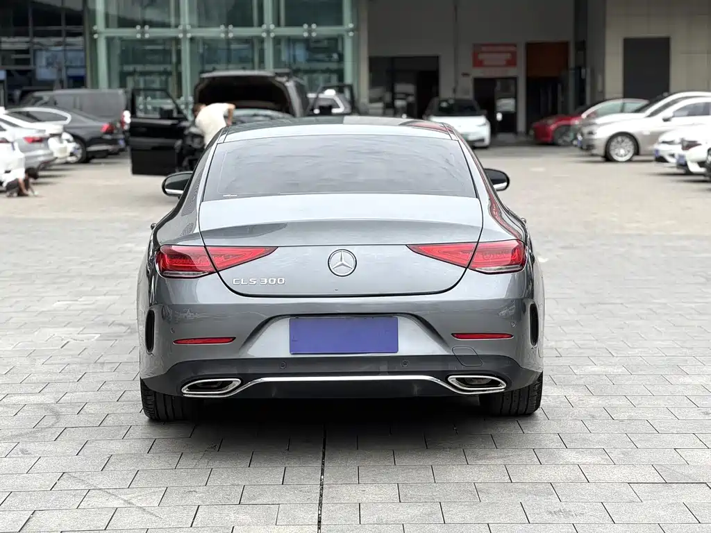 Mercedes-Benz CLS 2019 — фото 8