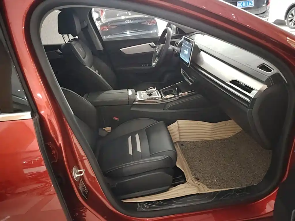 BYD Qin Pro New Energy 2020 — фото 25