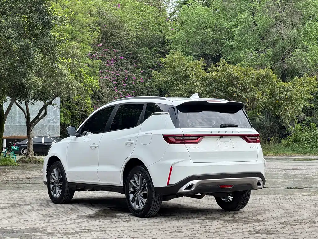 Geely Vision X6 2021 — фото 4