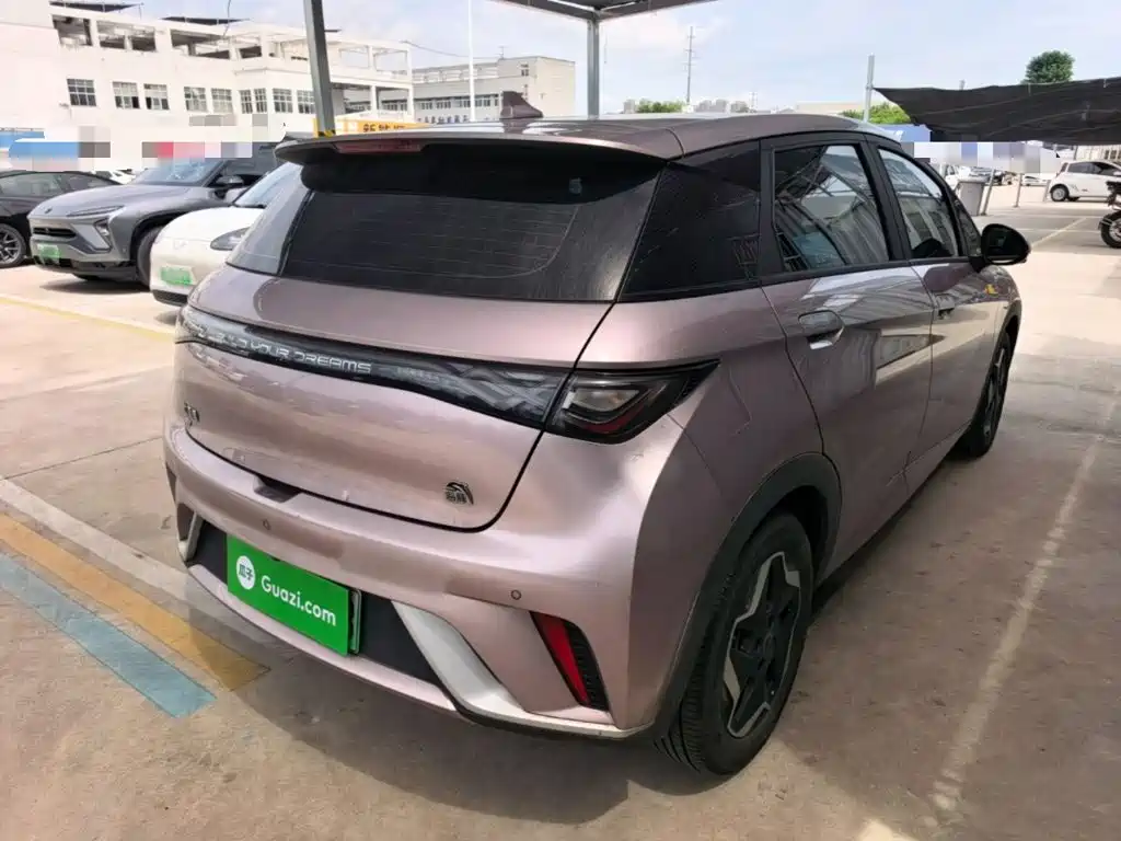 BYD Dolphin 2022