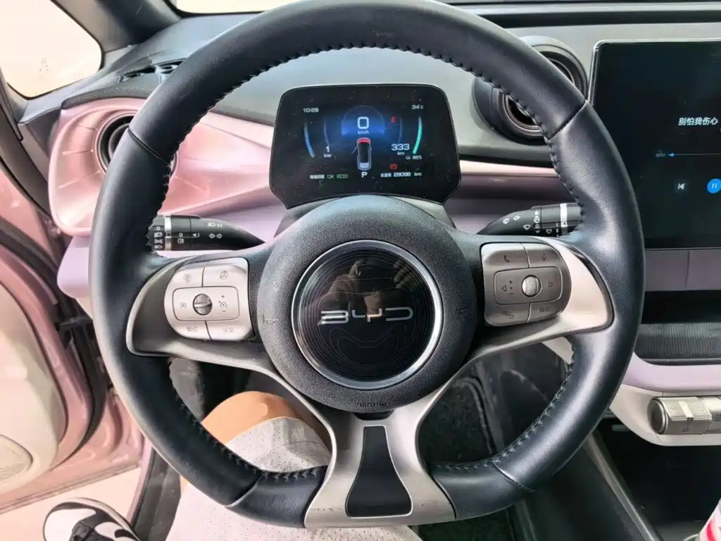 BYD Dolphin 2022