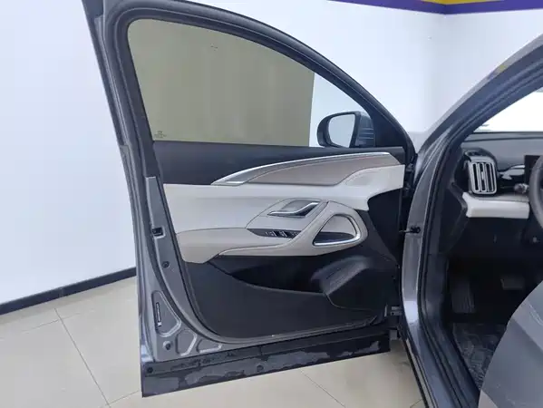 BYD Song Pro New Energy 2024