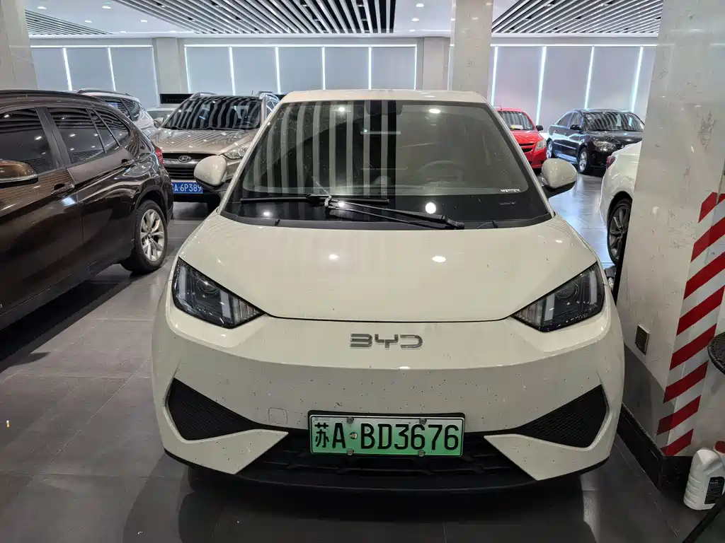 BYD Seagull 2026
