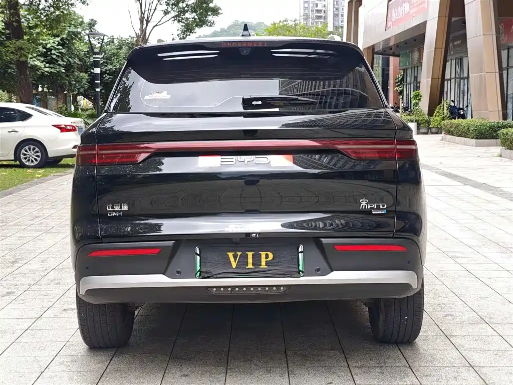 BYD Pro New Energy 2025 — фото 15