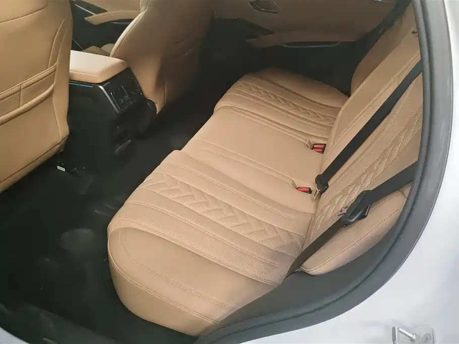 BYD L DM-i 2024 — фото 11