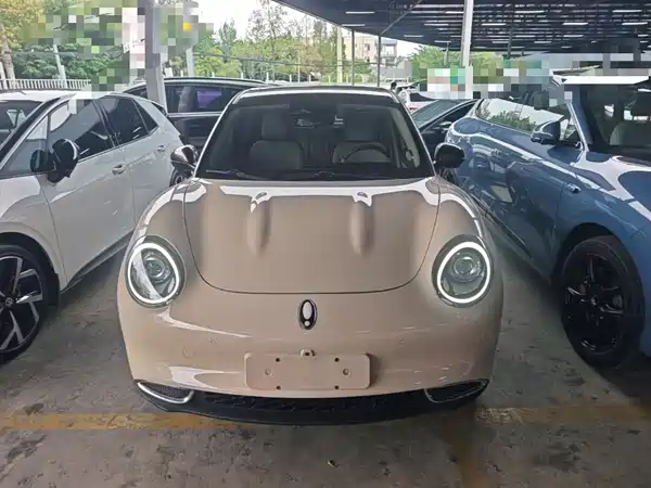 Ora Good Cat 2022