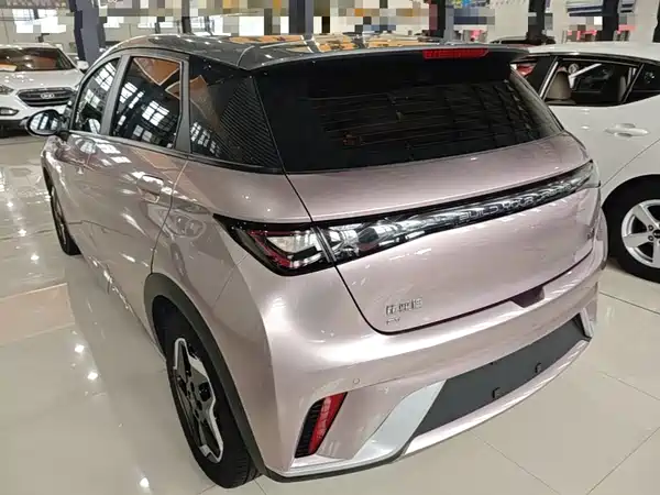 BYD Dolphin 2022