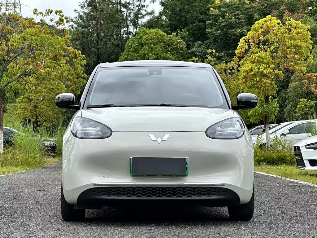 Wuling Bingo 2023