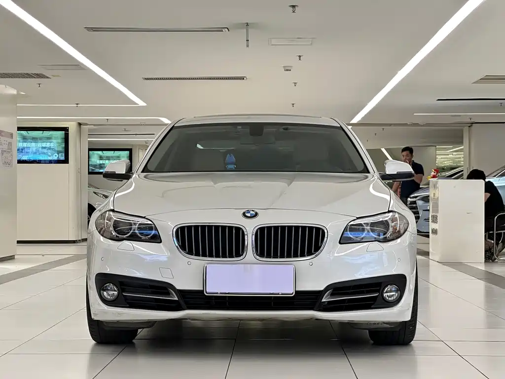 BMW 5 Series 2015