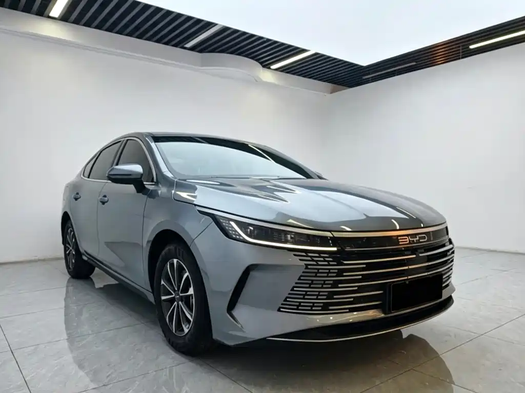 BYD Destroyer 05 2024 — фото 2