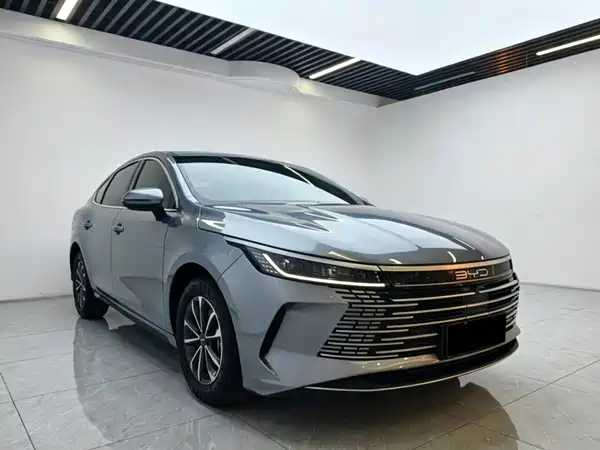 BYD Destroyer 05 2024
