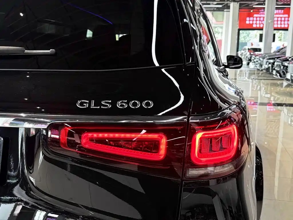 Mercedes-Benz Maybach GLS 2021 — фото 7