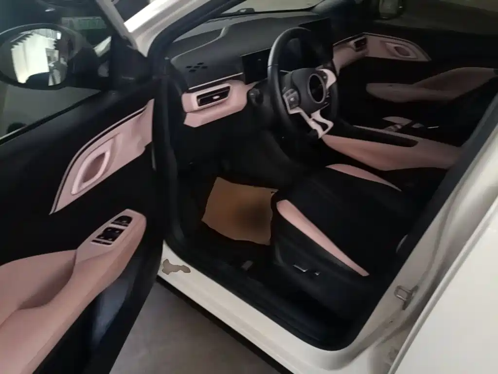 BYD Seagull 2023 — фото 16