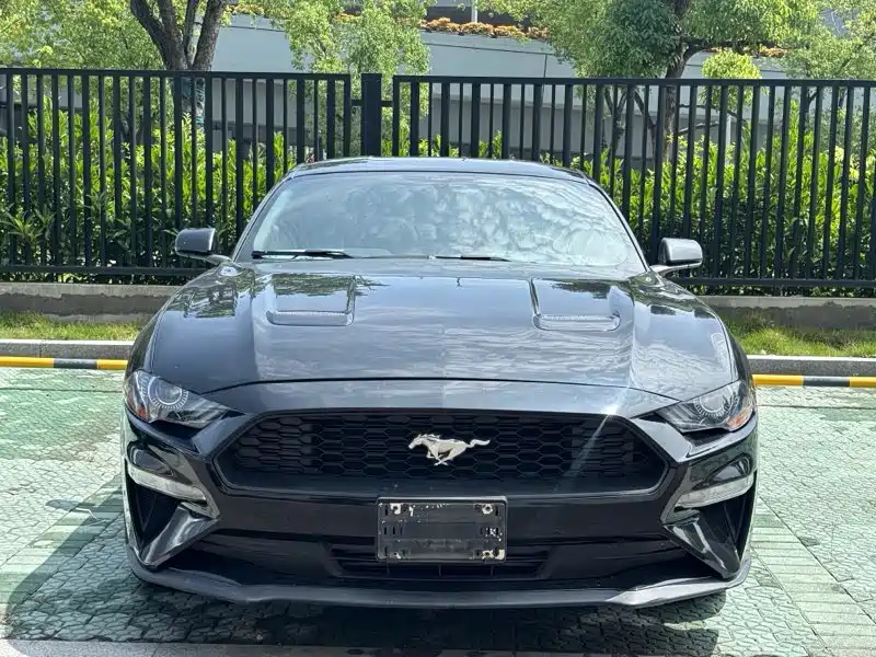 Ford Mustang 2019 — фото 3