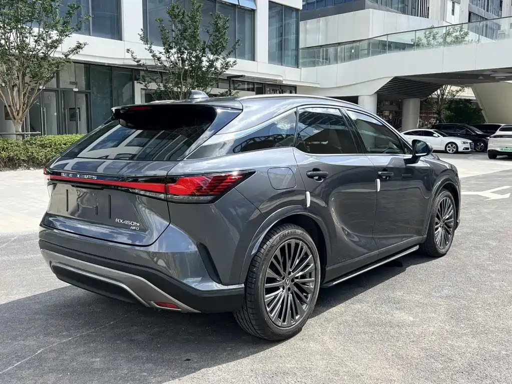 Lexus RX New Energy 2023 — фото 15