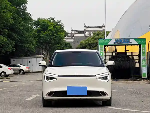Dongfeng Nano 01 2024