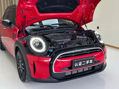 MINI MINI 2024