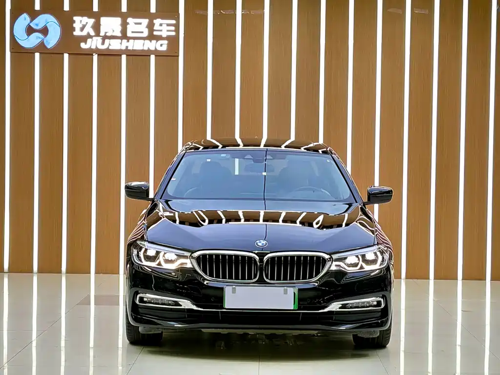 BMW 5 Series New Energy 2018