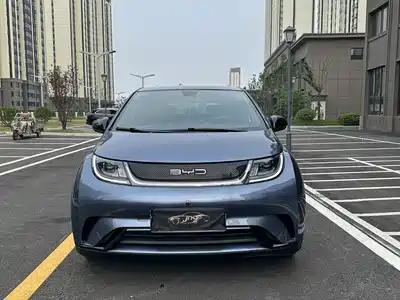 BYD Dolphin 2024