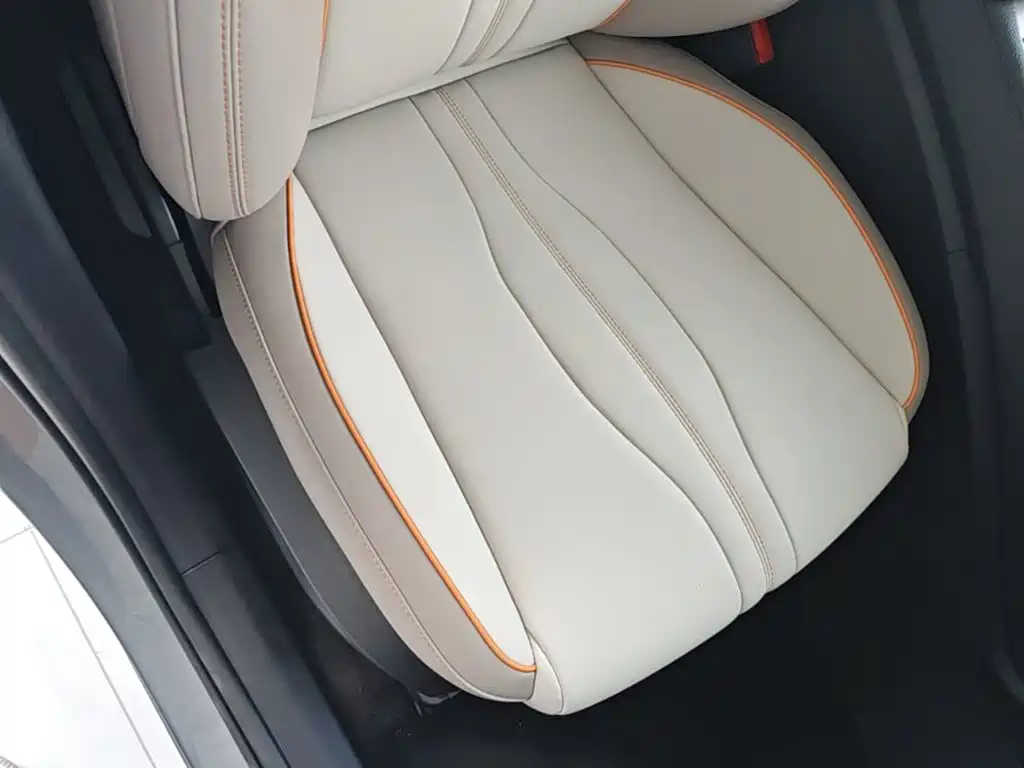 BYD Song Pro New Energy 2024 — фото 25