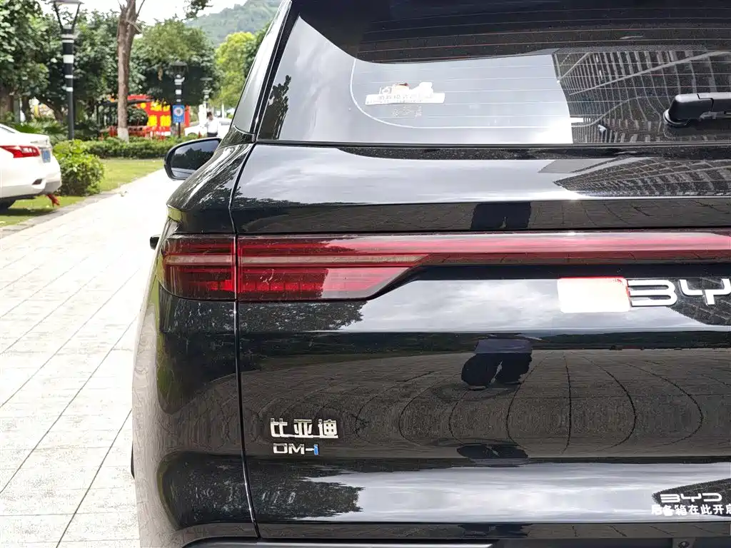 BYD Pro New Energy 2025 — фото 12