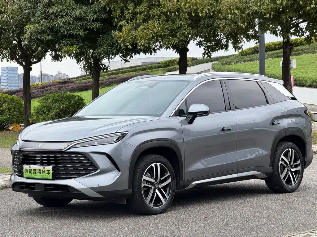 BYD L DM-i 2024 — фото 1