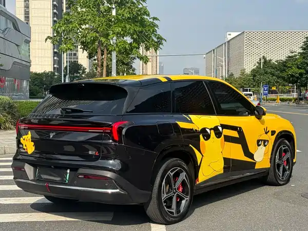 Neta L 2024