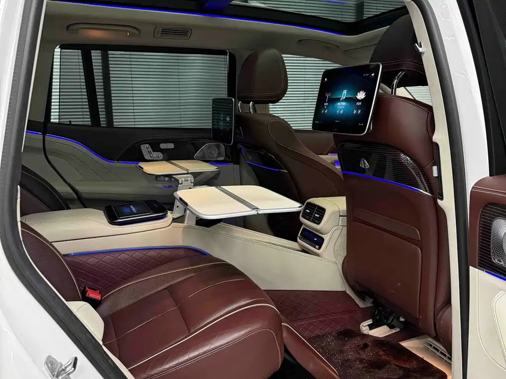 Mercedes-Benz Maybach GLS 2021 — фото 18