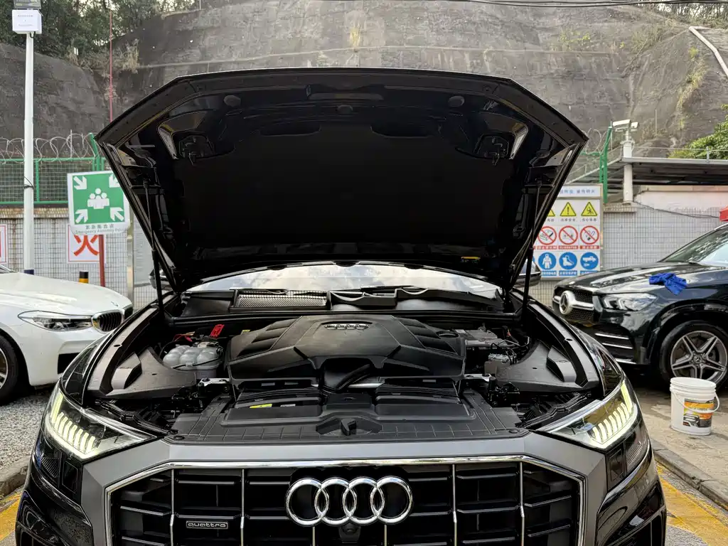 Audi Q8 2021 — фото 19