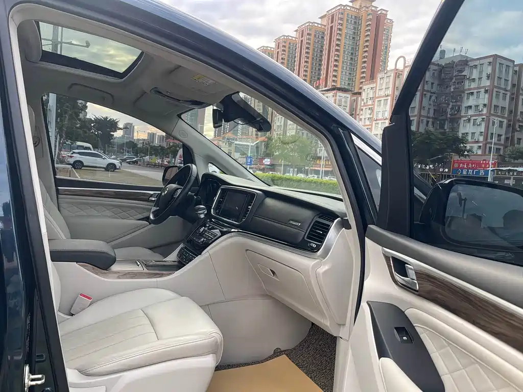 GAC Motor Trumpchi M8 2019 — фото 11