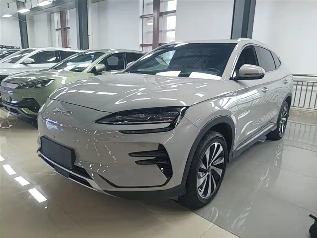 BYD PLUS New Energy 2024 — фото 2