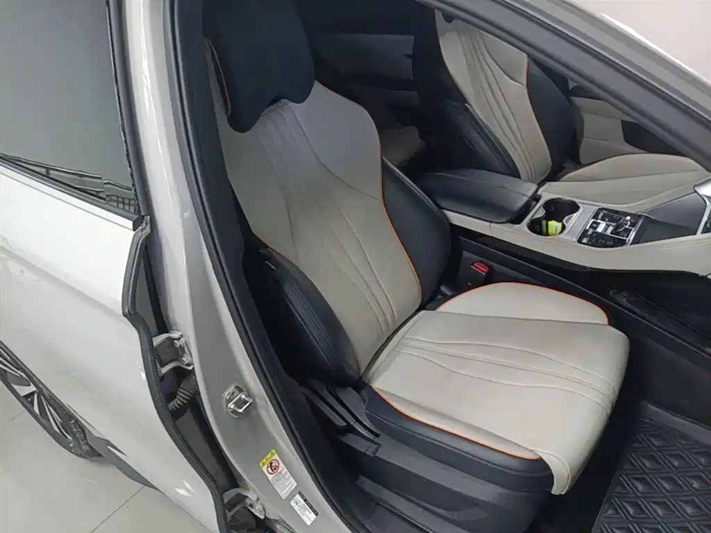 BYD PLUS New Energy 2024 — фото 25