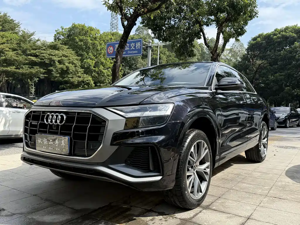 Audi Q8 2021 — фото 1