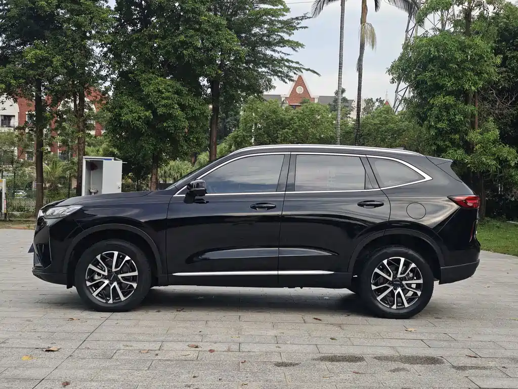 Haval H6 2021 — фото 4